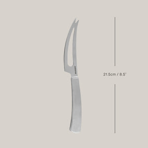Barcelona Stainless Steel Soft Cheese Knife