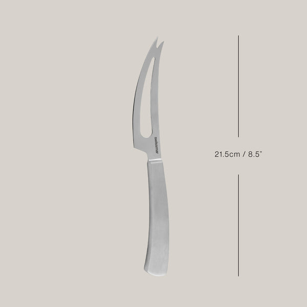 Barcelona Stainless Steel Soft Cheese Knife